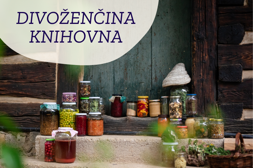 Fermentované pozdní léto